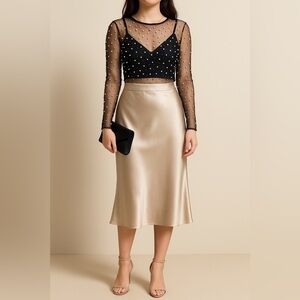 Pearl Mesh Sheer Long Sleeve Top — Black (NWOT)